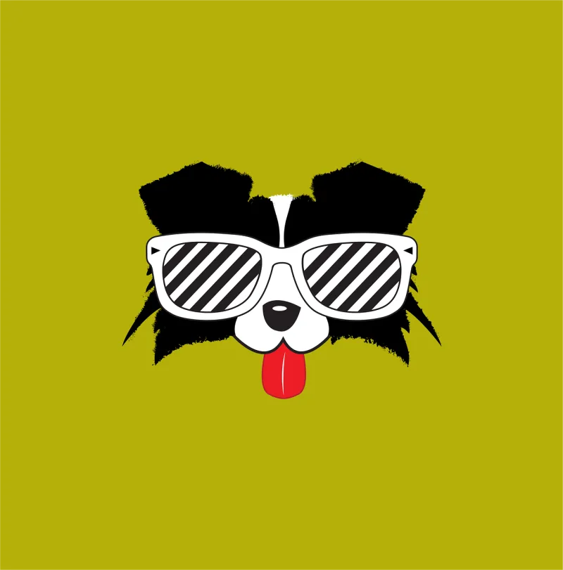 Border collie Pet Dogs Stickdatei – Natur