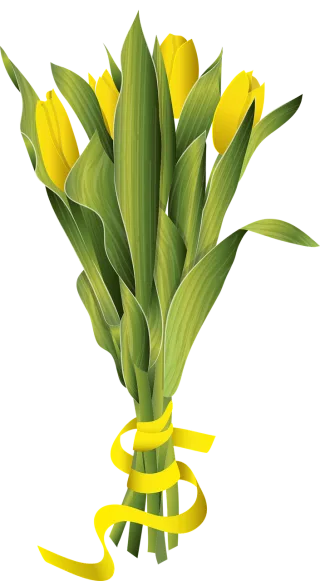 Tulip tulips Spring Flower flowers Stickdatei