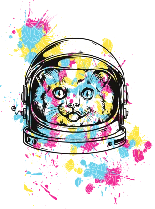 Cat Space Nasa Stickdatei
