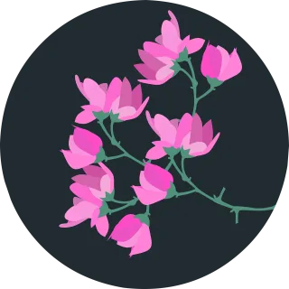 Magnolia Flower Spring Stickdatei