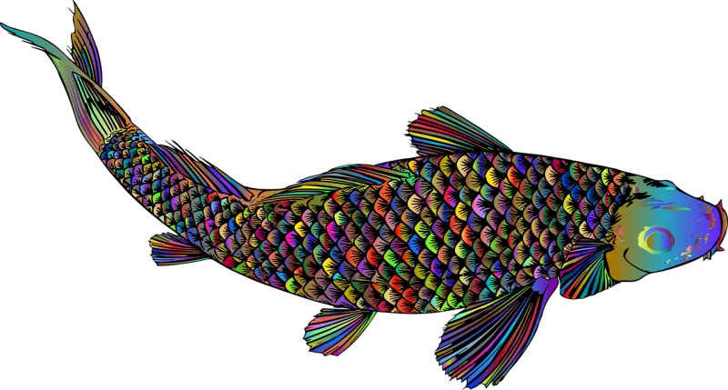 Fish Animal Ocean Stickdatei – Sport