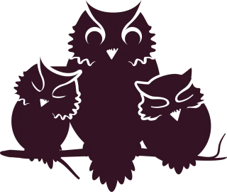 Owl Owlets Baby Stickdatei