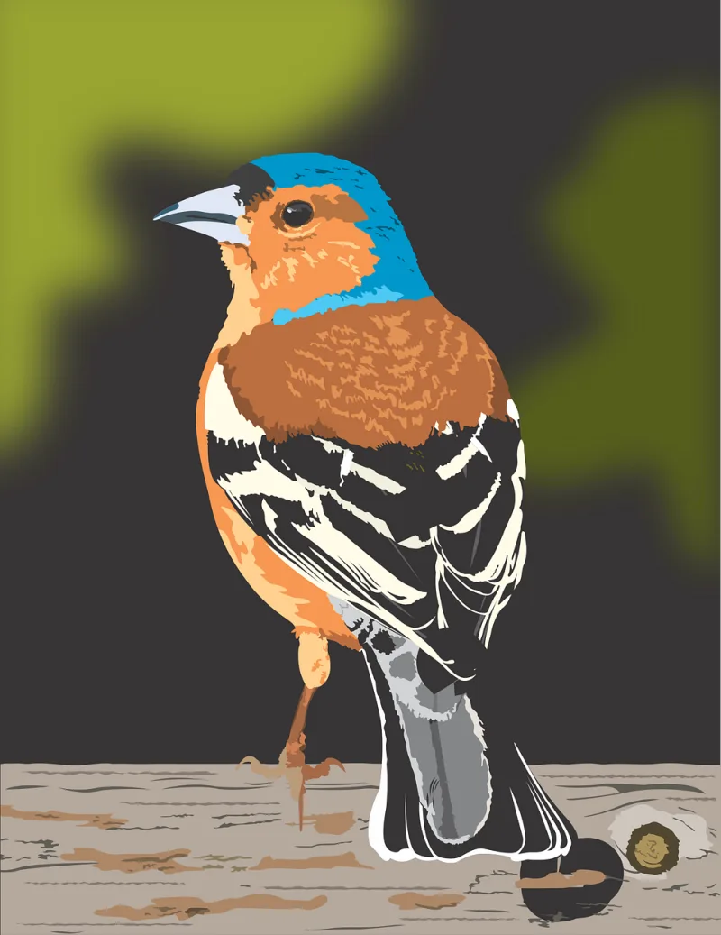 Bird Finch Nature Stickdatei – Natur