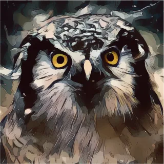 Owl Face Predator Stickdatei