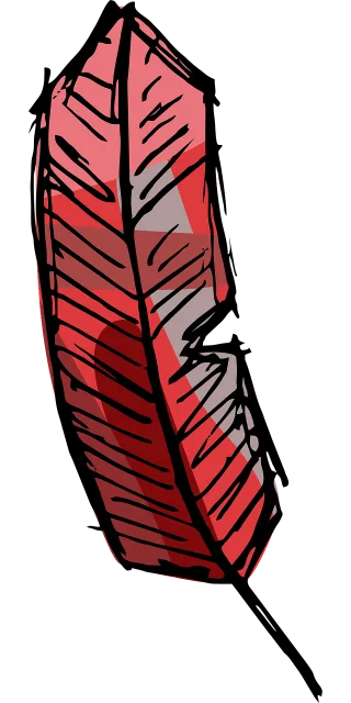 Feather Pen Indian Stickdatei