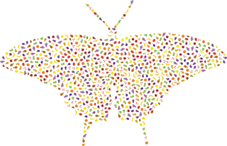 Fruit Butterfly Insect Stickdatei