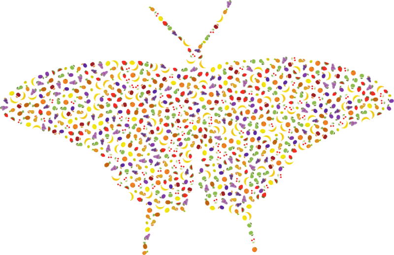 Fruit Butterfly Insect Stickdatei – Essen & Trinken