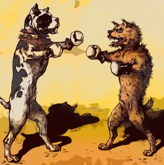 Dogs Boxing Boxers Stickdatei
