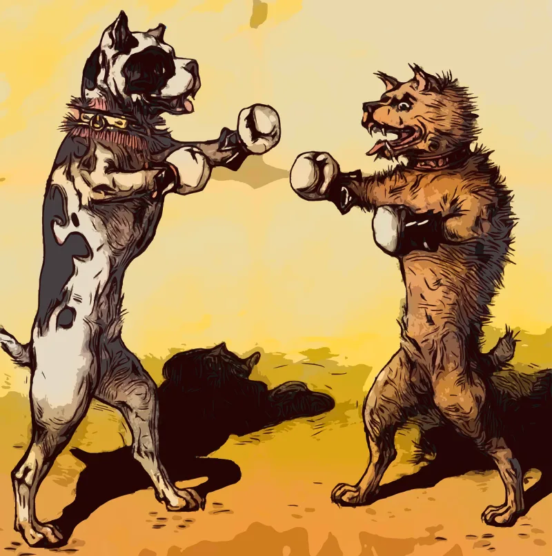 Dogs Boxing Boxers Stickdatei – Sport