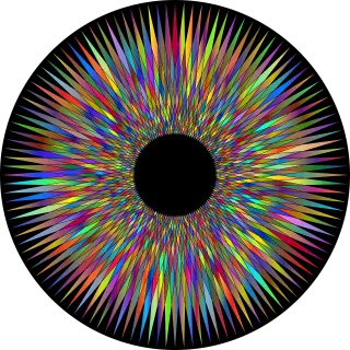 Eye Nature Eyeball Stickdatei