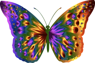 Butterfly Nature Animal Stickdatei