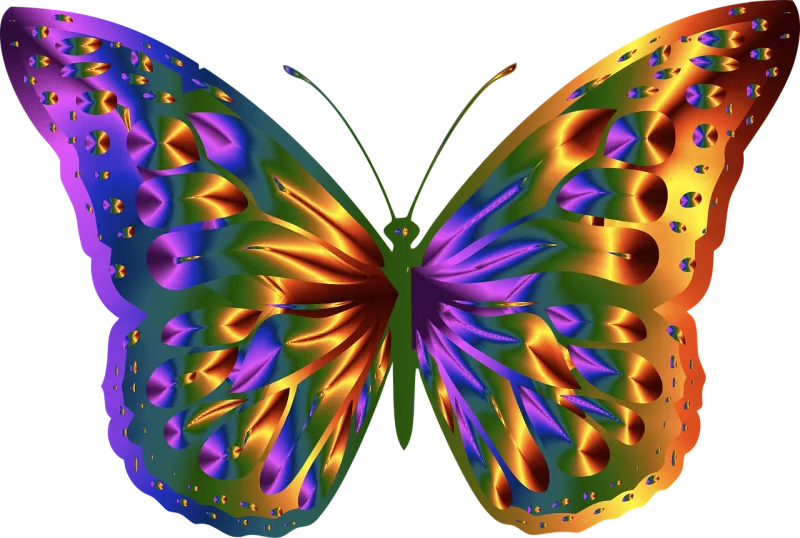 Butterfly Nature Animal Stickdatei – Kinder