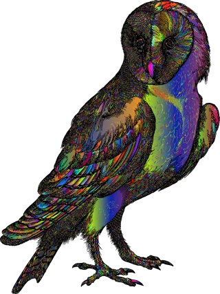 Owl Bird Line art Stickdatei