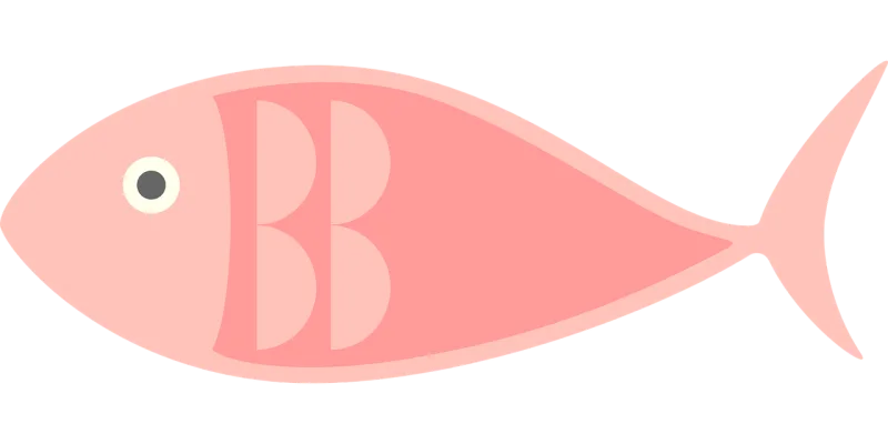 Salmon Sushi Fish Stickdatei – Essen & Trinken