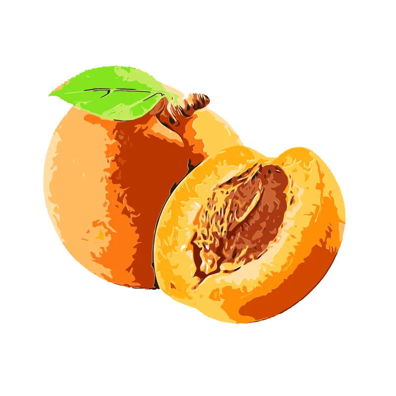 Apricot Fruit Food Stickdatei – Essen & Trinken