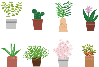 Potted plant Flower Plant Stickdatei