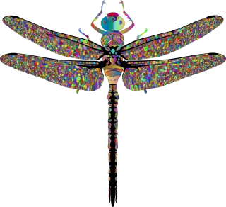 Dragonfly Insect Animal Stickdatei – Kinder
