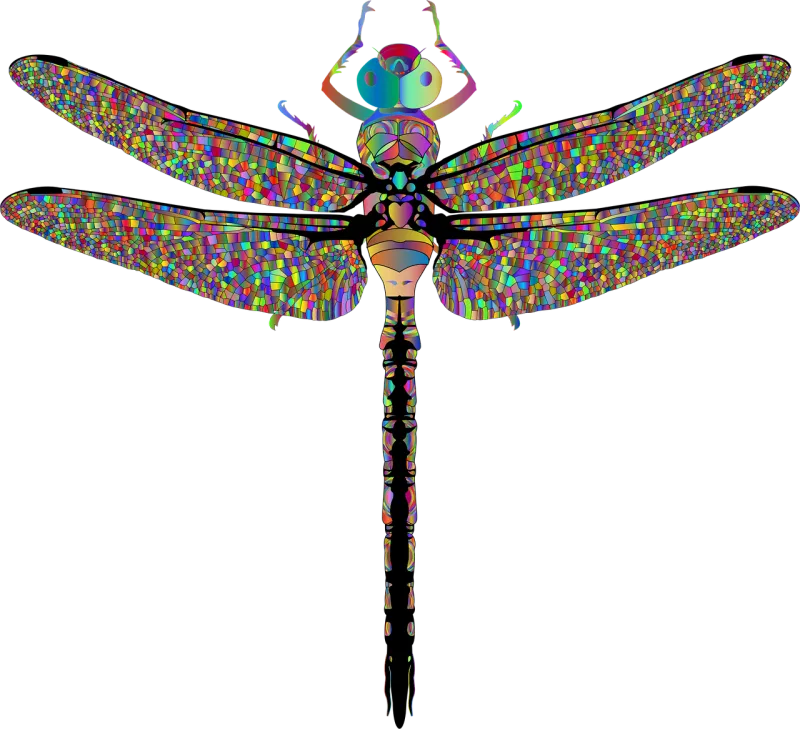 Dragonfly Insect Animal Stickdatei – Kinder