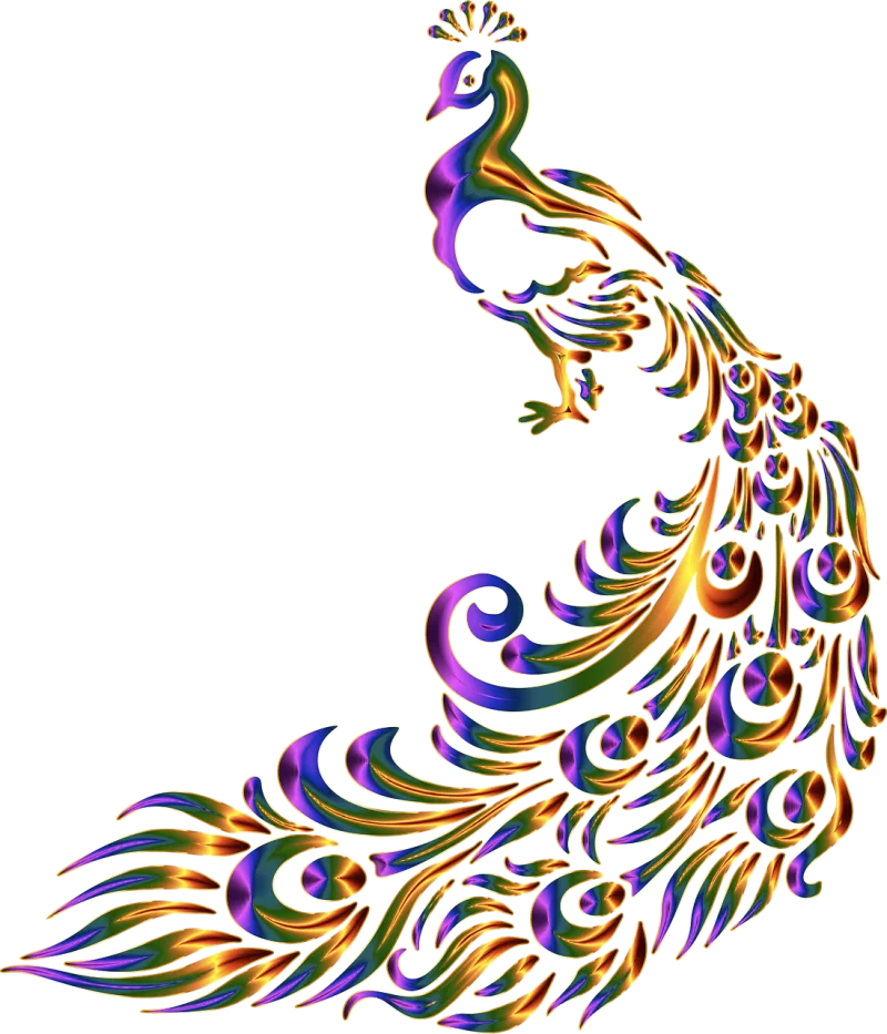 Peacock Nature Bird Stickdatei – Kinder