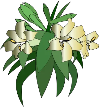 Lilies Bloom Flower wallpaper Stickdatei