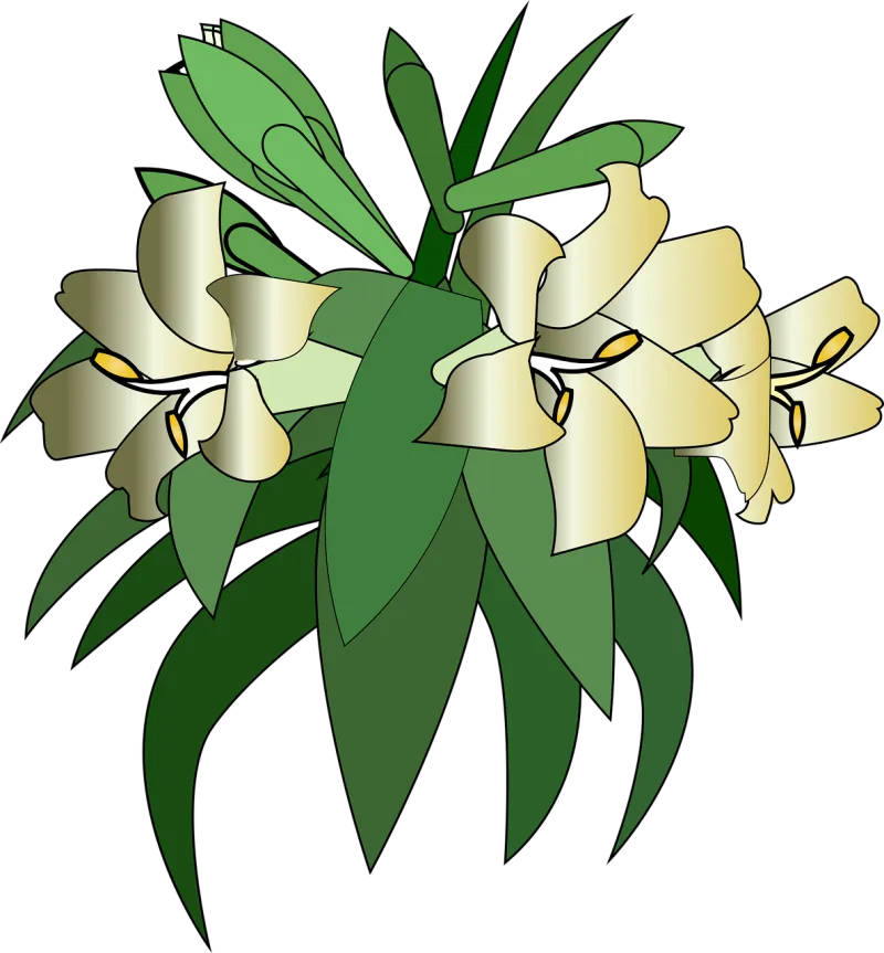 Lilies Bloom Flower wallpaper Stickdatei – Blumen