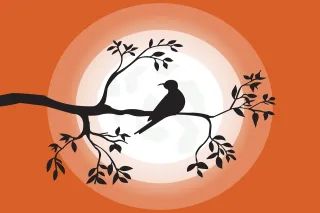 Landscape Bird Romantic Stickdatei
