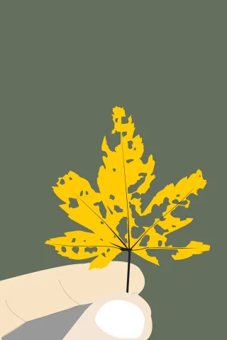 Leaf Hand Nature Stickdatei