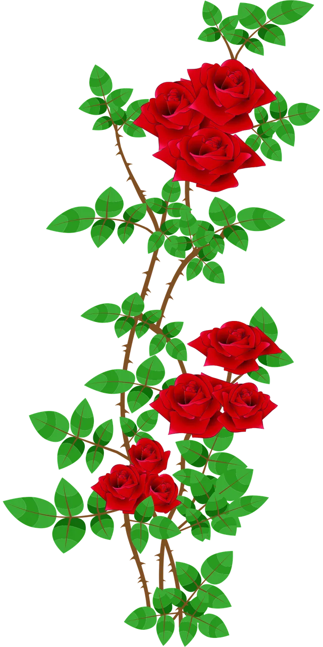 Rose roses Rose bush Blooming Stickdatei – Blumen
