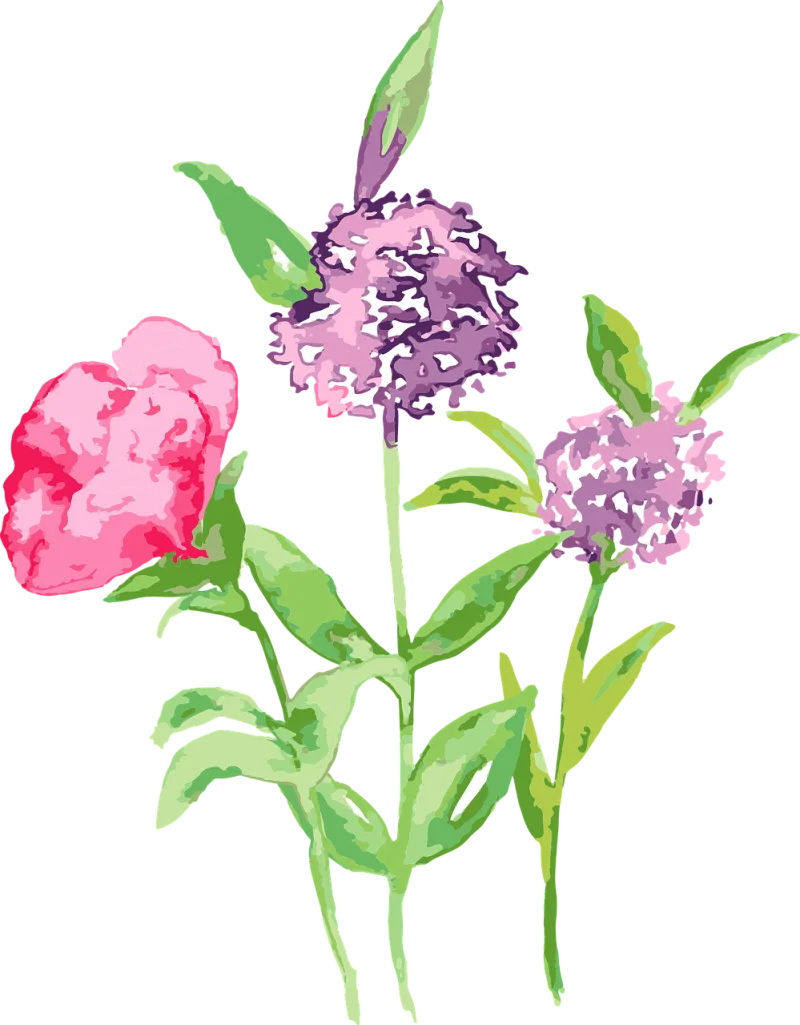 Flowers Watercolor Prairie Stickdatei – Blumen