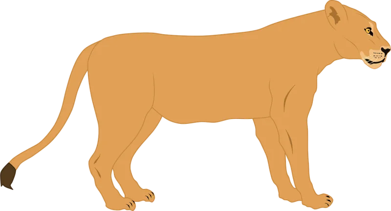 Lioness Lion Predator Stickdatei – Tiere