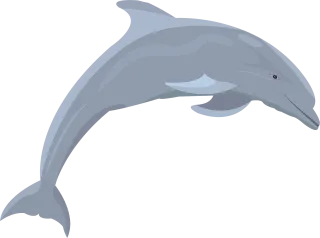 Dolphin Fish Ocean Stickdatei