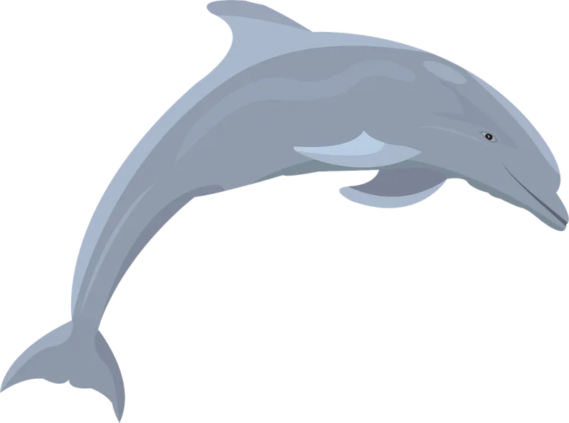 Dolphin Fish Ocean Stickdatei – Tiere