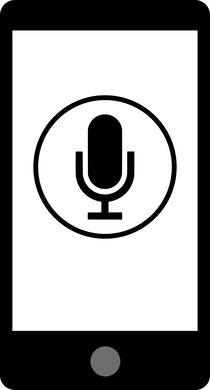 Audio Microphone Record Stickdatei – Musik