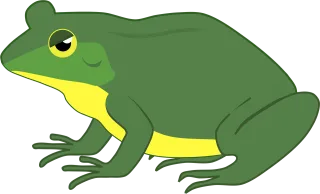 Frog Toad Amphibian Stickdatei