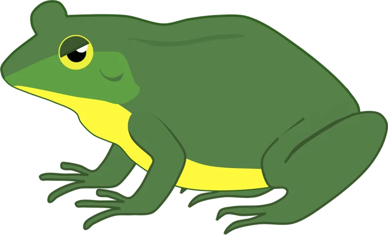 Frog Toad Amphibian Stickdatei – Natur