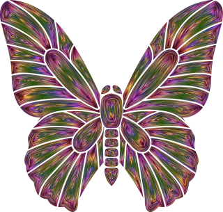 Butterfly Insect Wings Stickdatei
