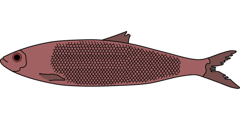 Herring Nature Fish Stickdatei – Tiere