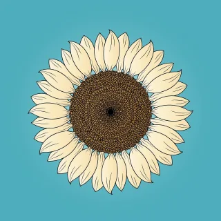 Flower Sunflower Nature Stickdatei