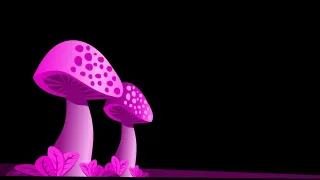 Mushrooms Fungi Fungus Stickdatei – Natur