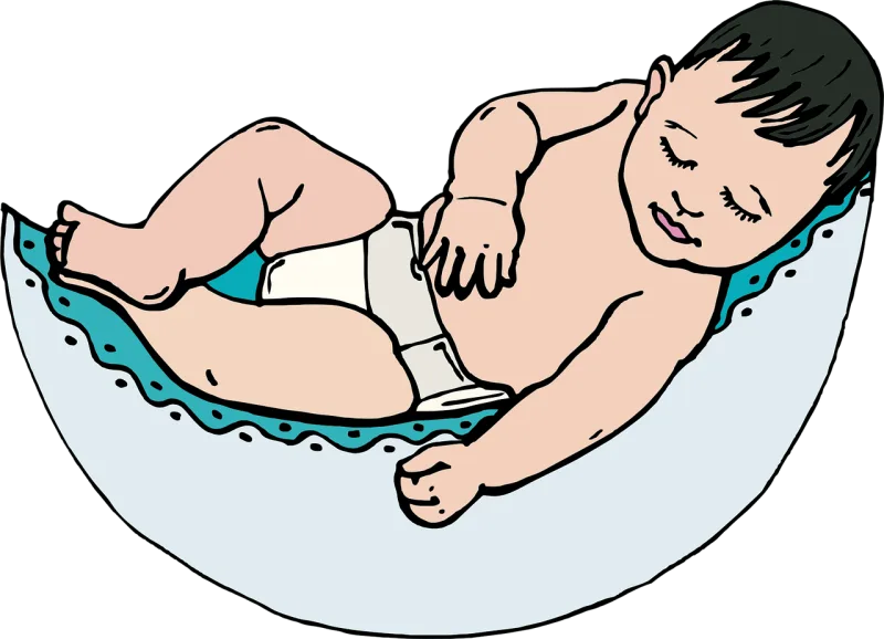 Newborn Baby Sleeping Stickdatei – Natur