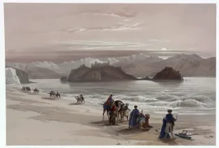 Beach Camels Caravan Stickdatei