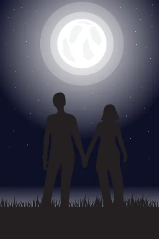 Couple Silhouette Moon Stickdatei