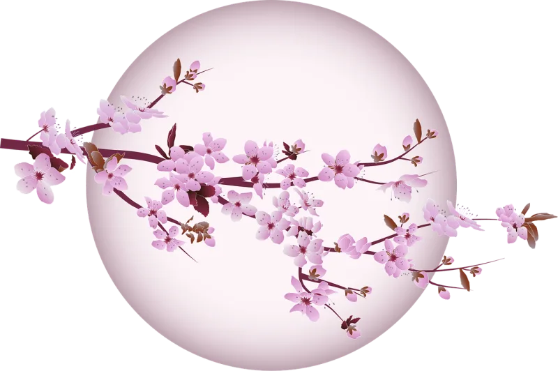 Cherry blossom Cherry Tree Stickdatei – Weihnachten