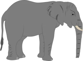 Elephant Trunk Africa Stickdatei