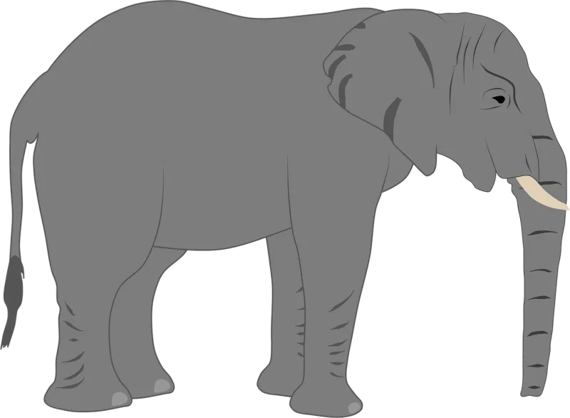 Elephant Trunk Africa Stickdatei – Tiere