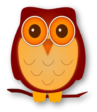 Owl Bird Eyes Stickdatei