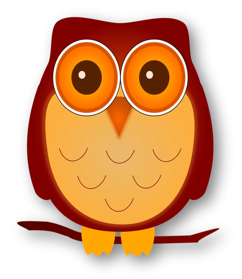 Owl Bird Eyes Stickdatei – Tiere
