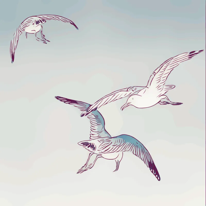 Seagulls Gulls Birds Stickdatei – Natur