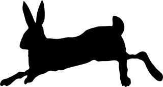 Hare Rabbit Silhouette Stickdatei