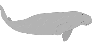 Manatee Sea cow Mammal Stickdatei